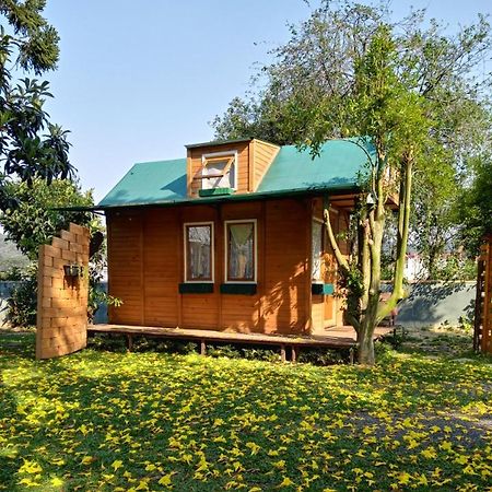 Mini House Park Otel Campo Alegre  Dış mekan fotoğraf