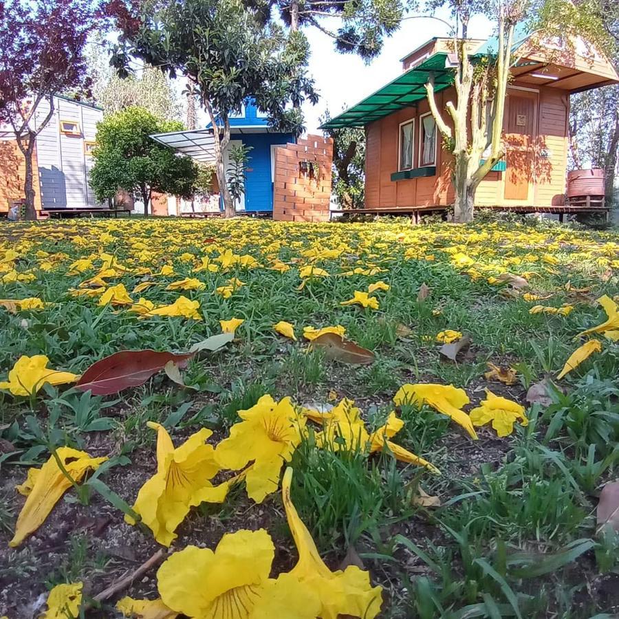 Mini House Park Otel Campo Alegre  Dış mekan fotoğraf