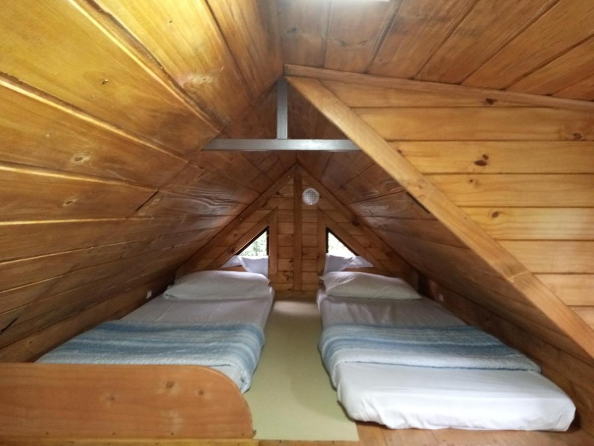 Mini House Park Otel Campo Alegre  Dış mekan fotoğraf